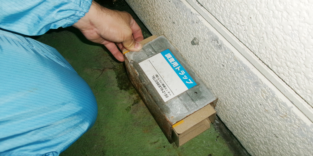 有限会社 にらい消毒センター【食品工場等の昆虫モニタリング作業スタッフ（浦添市内間）【月給22万円～／駐車場有】】の求人募集画像