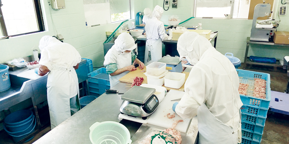 有限会社たつなりフーズ【食品の配送スタッフ(3tトラック)(宜野湾市)【完全週休2日制／手当充実】】の求人募集画像