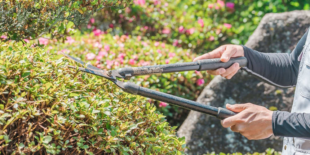 合同会社 グリーンテック浦西【ホテルの植栽管理補助スタッフ（男女）（読谷村）【無料駐車場有／昇給有／未経験者歓迎】】の求人募集画像