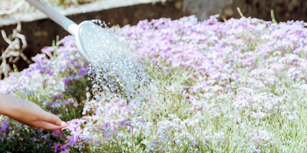 合同会社 グリーンテック浦西【ホテルの植栽管理補助スタッフ（男女）（読谷村）【無料駐車場有／昇給有／未経験者歓迎】】の求人募集画像