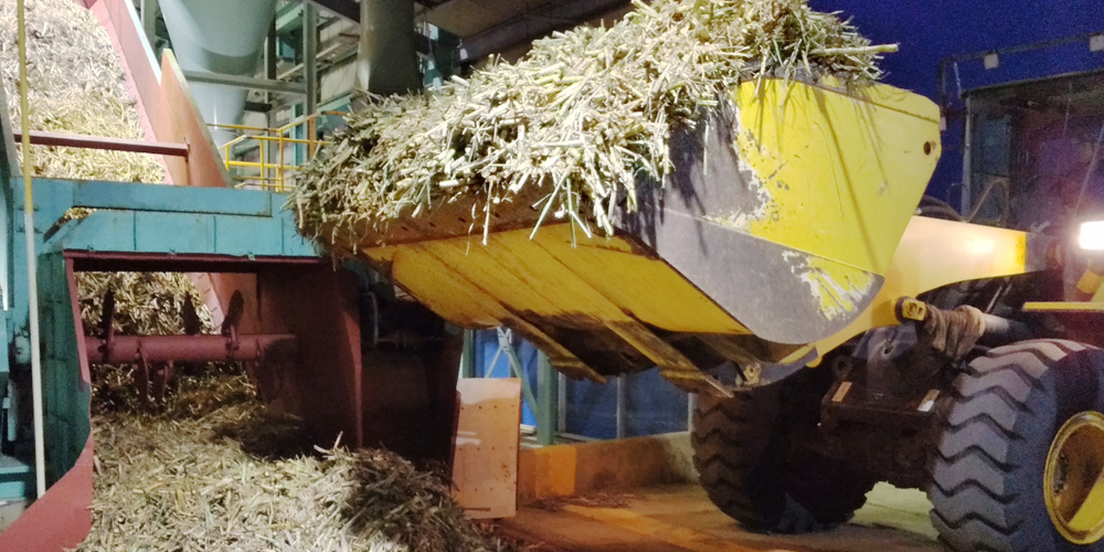 YUIME 株式会社 沖縄支社【短期製糖工場の作業スタッフ（南大東島）【全国から応募OK／個室寮完備／食事3食付き】】の求人募集画像