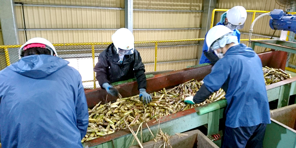 YUIME 株式会社 沖縄支社【短期製糖工場の作業スタッフ（南大東島）【全国から応募OK／個室寮完備／食事3食付き】】の求人募集画像