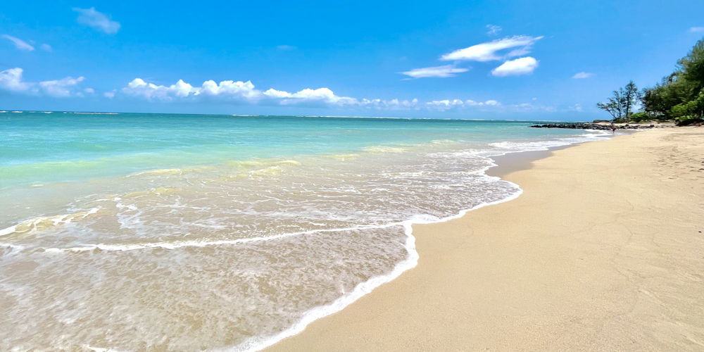 YUIME 株式会社 沖縄支社【短期製糖工場の作業スタッフ（南大東島）【全国から応募OK／個室寮完備／食事3食付き】】の求人募集画像