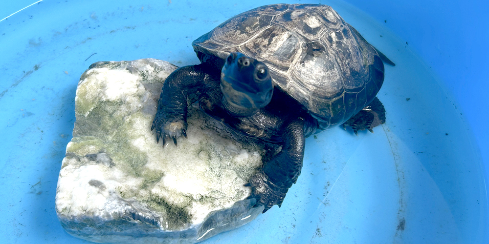 一般社団法人 たくし学園【放課後児童支援員（浦添市）【資格取得制度有／賞与年2回／駐車場有】】の求人募集画像