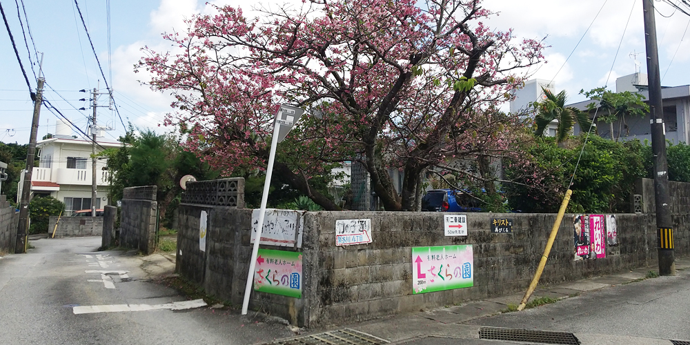 有料老人ホームさくらの園・デイサービスセンターさくら【介護士（那覇市繁多川）【無資格・未経験OK／週休2日制／無料駐車場有】】の求人募集画像