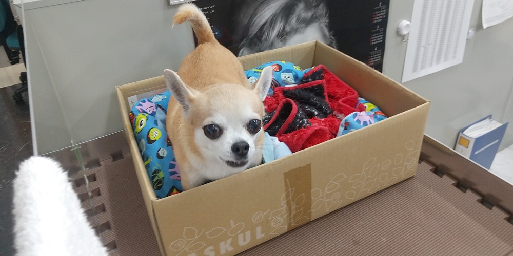 株式会社 旭メタル工業【建築金物工事のルート営業（南風原町）【土日祝お休み／賞与年2回（3ヶ月程度）】】の求人募集画像