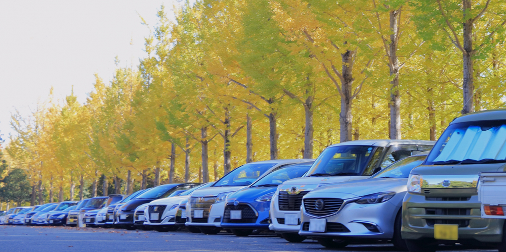 コックス琉球株式会社【自動車の陸送ドライバー(陸送業務)(浦添市)【社保完備/交通費有】】の求人募集画像