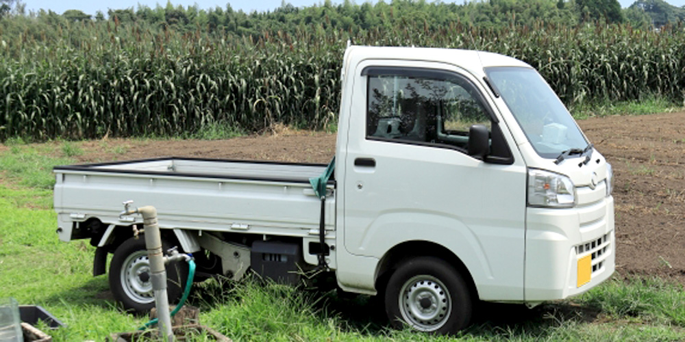 西表糖業株式会社【農務担当（サトウキビ栽培状況の確認）(西表島)【U・Iターン歓迎／正社員登用前提／年間休日120日以上】】の求人募集画像