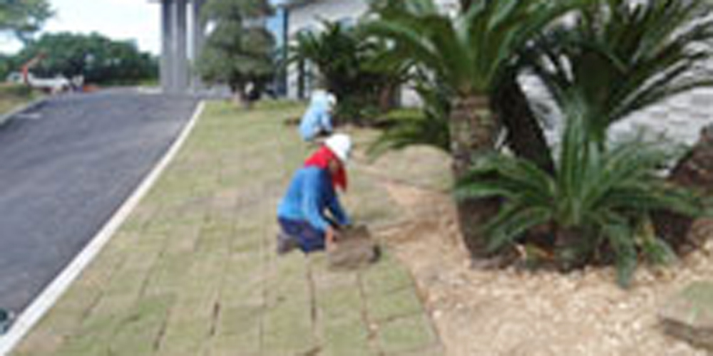 有限会社　西原農園【事務員（西原町）【土日祝休み／昇給・賞与有／医療保険加入】】の求人募集画像