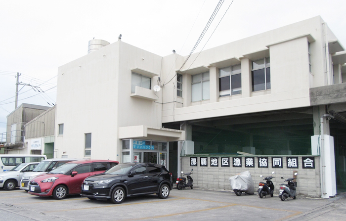 那覇地区漁業協同組合【セリ準備・補助業務（那覇市港町）【無料駐車場有／資格・経験不問／正社員登用有】】の求人募集画像